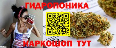 трава Славянск-на-Кубани