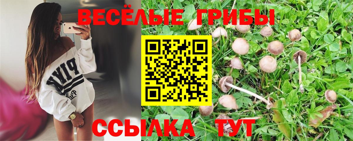 Галлюциногенные грибы мухоморы  Псилоцибиновые грибы прущие грибы  Вход с VPN  Норильск 